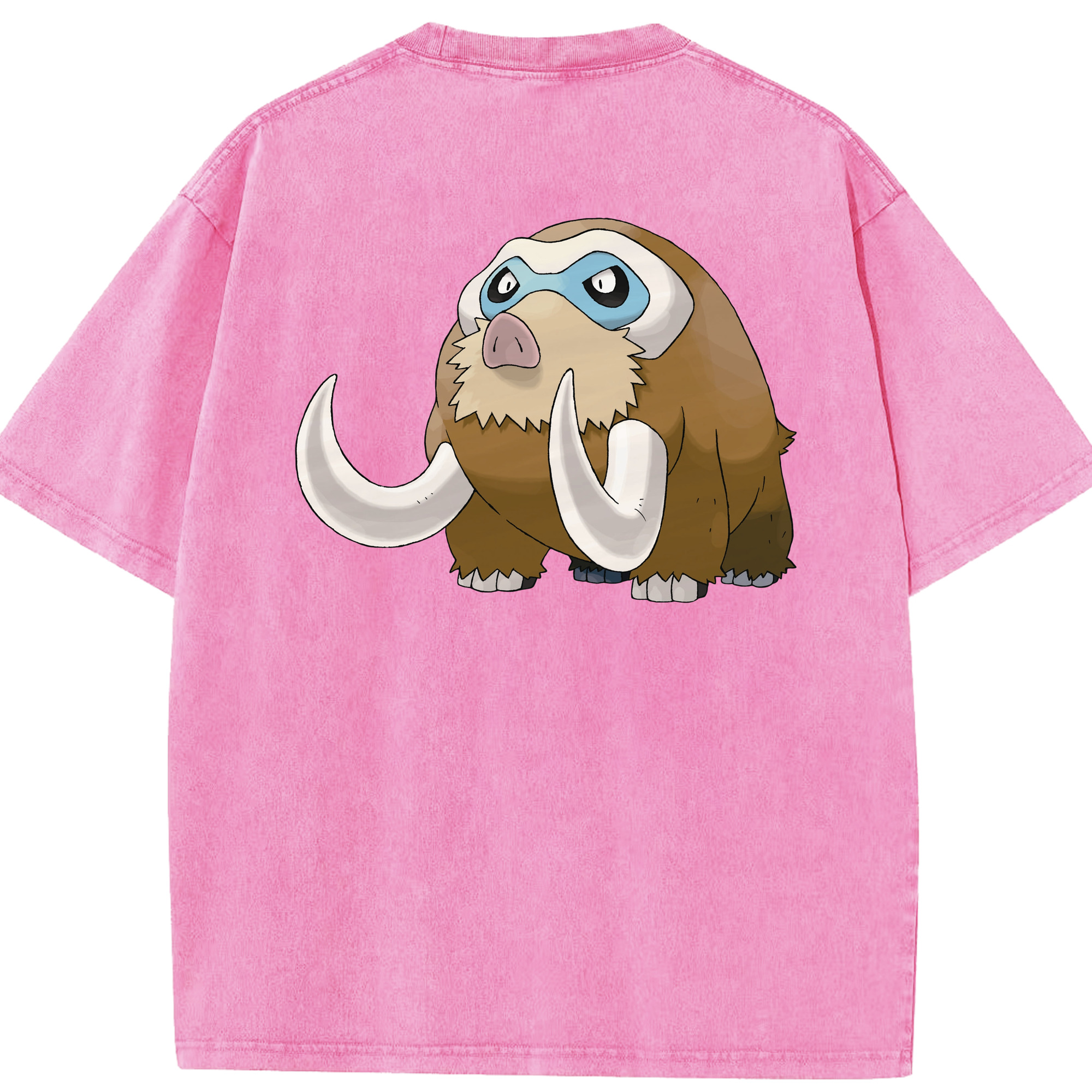 （画像用） ポケットモンスター Pokémon 綿100% ヴィンテージ風 半袖Tシャツ（背面プリント）